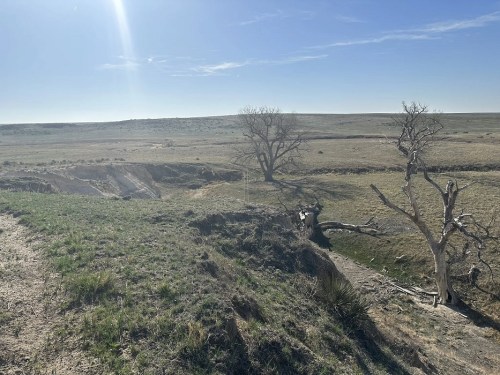 A wide, open landscape with dry grass, a creek, and a few bare trees under a clear blue sky.
