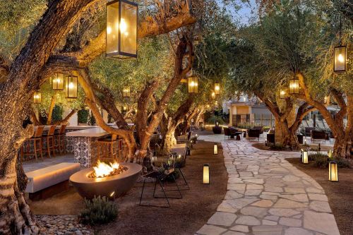 A serene outdoor space with olive trees, lanterns, a fire pit, and a stone pathway, creating a cozy ambiance.