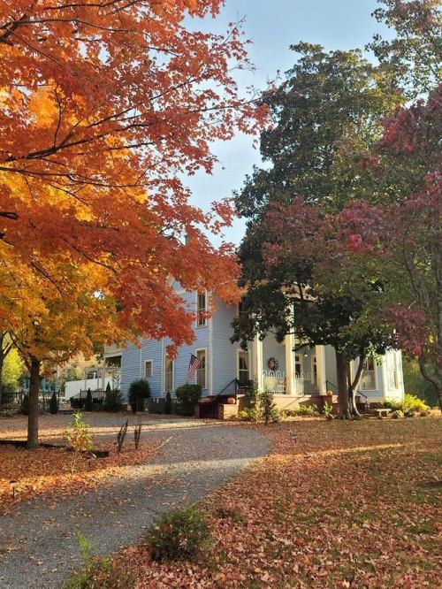 A charming blue house surrounded by vibrant autumn trees and fallen leaves, with a gravel path leading to the entrance.