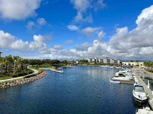 A serene marina with boats docked, surrounded by lush greenery and buildings under a partly cloudy blue sky.