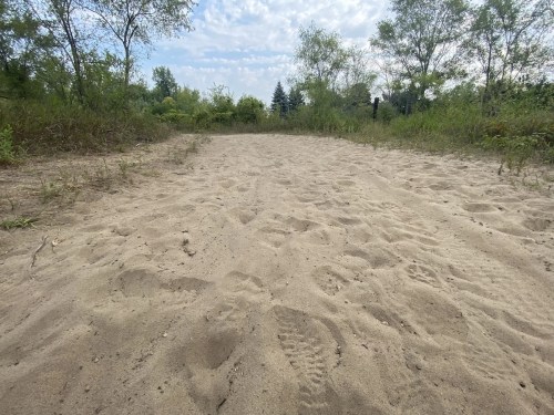 A sandy path surrounded by greenery and trees under a cloudy sky. Footprints are visible in the sand.