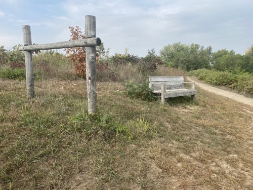 A wooden bench sits on a grassy path, surrounded by shrubs and trees under a cloudy sky.