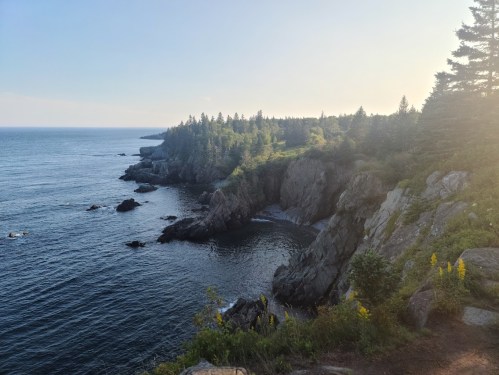 A scenic coastal view with rocky cliffs, lush greenery, and calm blue waters under a clear sky.