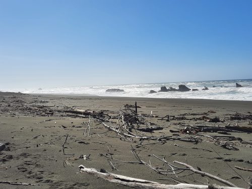 A sandy beach with scattered driftwood and rocks, under a clear blue sky and gentle ocean waves.