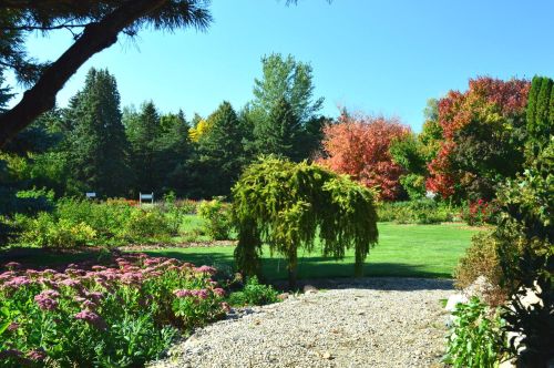 A serene garden scene with colorful trees, blooming flowers, and a clear blue sky.