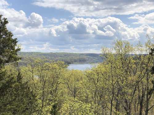 A scenic view of a lake surrounded by lush green trees and a cloudy sky, reflecting nature's tranquility.