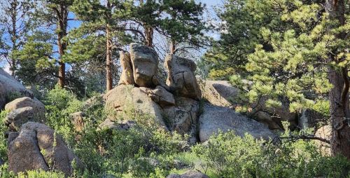Rock formations surrounded by greenery and pine trees under a clear blue sky.