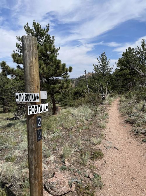 Trail signpost with directions to Mo Rocka and Foxtail, surrounded by trees and a dirt path under a blue sky.