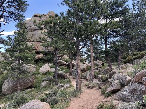 A winding dirt path through a forest of pine trees and large boulders under a blue sky.