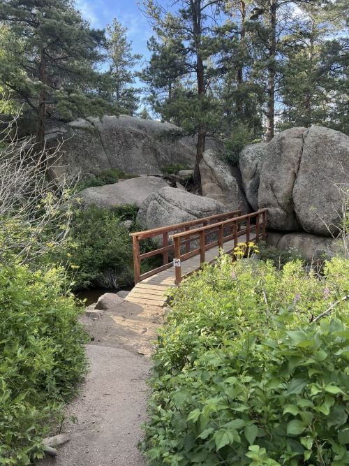 A wooden bridge crosses a small stream, surrounded by large rocks and lush greenery in a forested area.