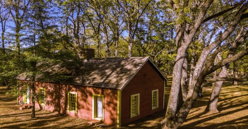 A quaint red house surrounded by tall trees and dappled sunlight in a serene outdoor setting.