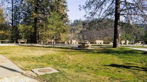 A grassy area with trees and benches, overlooking a hillside in a serene outdoor setting.