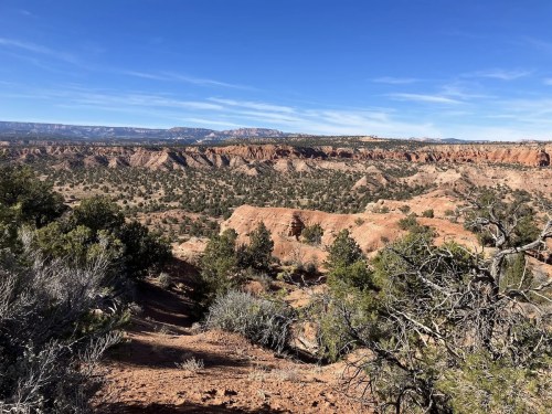 A panoramic view of rugged red rock formations and green shrubs under a clear blue sky.