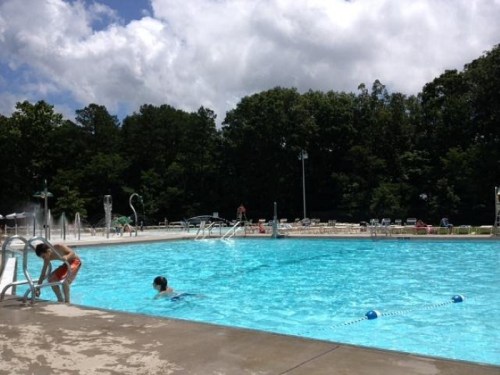 A sunny outdoor pool scene with children swimming and playing, surrounded by trees and lounge chairs.