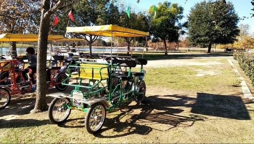 A colorful pedal-powered cart parked under a tree in a sunny park with green grass and trees in the background.