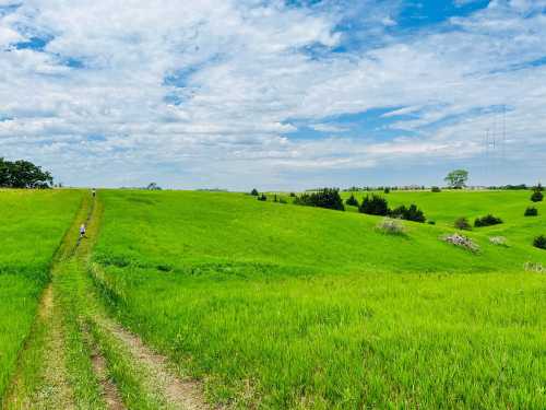 A lush green field under a blue sky with scattered clouds, featuring a dirt path and distant trees.