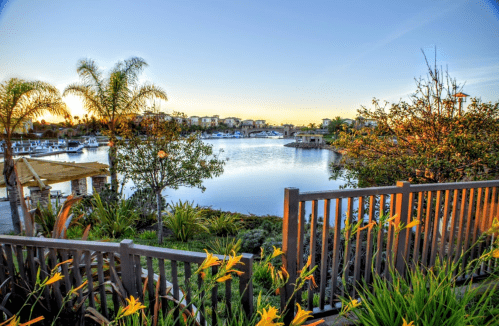 A serene waterfront view at sunset, featuring palm trees, flowers, and boats in the distance.