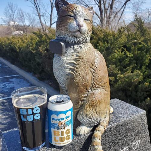 A cat statue sits beside a glass of dark beer and a can labeled "Pirate Cat" from Big Lug Brewing Co.