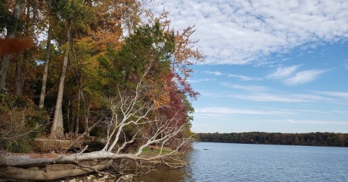 A serene lakeside view with colorful autumn trees and a clear blue sky reflecting on the water.