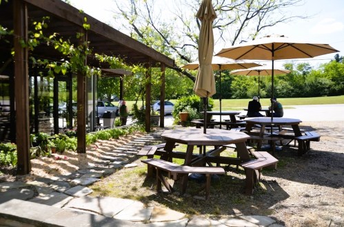 Outdoor seating area with picnic tables and umbrellas near a café, surrounded by greenery and a gravel path.
