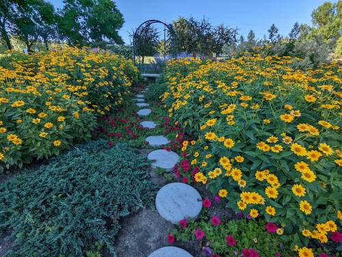 A vibrant garden path lined with yellow flowers and colorful blooms, leading to an archway in the background.