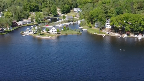 Aerial view of a serene lakeside community with homes, docks, and boats surrounded by lush greenery.