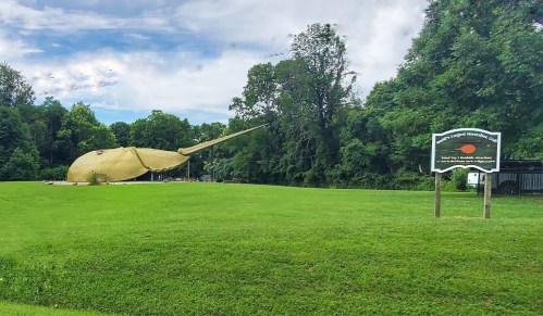 A large, whimsical sculpture of a narwhal on a grassy area, with a sign indicating it's the world's largest narwhal.
