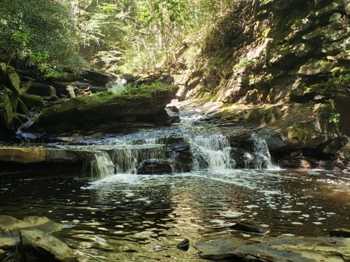 A serene waterfall cascades over rocks into a calm pool, surrounded by lush greenery and sunlight filtering through trees.