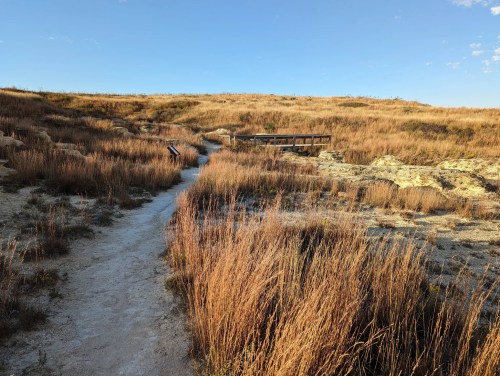 A winding dirt path through tall grass leads to a wooden overlook in a grassy landscape under a clear blue sky.