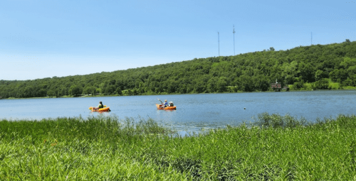 Two people in orange kayaks paddle on a calm lake surrounded by green hills and tall grass under a clear blue sky.