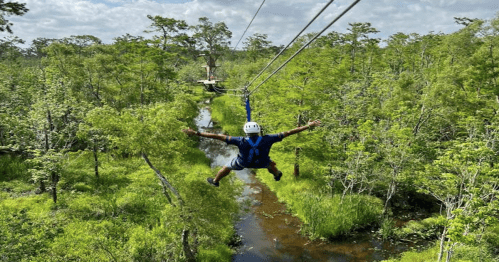 A person zip-lining over a lush green forest with a river below, arms outstretched in excitement.