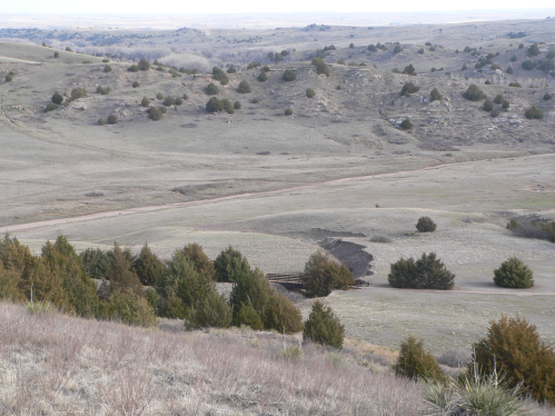 A vast, open landscape with rolling hills, sparse trees, and a dirt path winding through the grassy terrain.