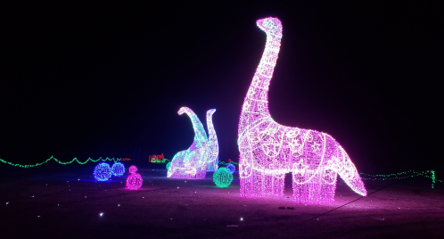 Colorful illuminated dinosaur sculptures in a dark setting, surrounded by glowing orbs and festive lights.