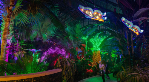 A vibrant indoor garden illuminated with colorful lights, featuring lush plants and glowing decorations.