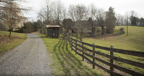 A gravel road leads past a wooden fence and a rustic shed, surrounded by bare trees and rolling green fields.