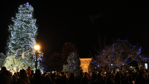 A festive night scene with a large decorated Christmas tree and crowds enjoying holiday lights.