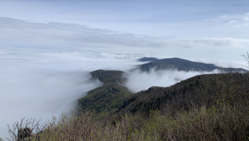 A scenic view of mountains shrouded in clouds, with greenery visible on the slopes under a cloudy sky.