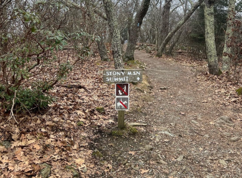 Trail sign for Stony Man Summit, indicating directions with symbols for hiking and no pets, surrounded by bare trees and leaves.