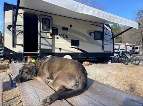 A dog lies on a wooden table in front of a parked RV with an awning, surrounded by gravel and bicycles.