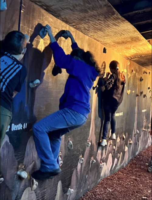 Three people climbing a rock wall indoors, focused on their ascent in a dimly lit environment.