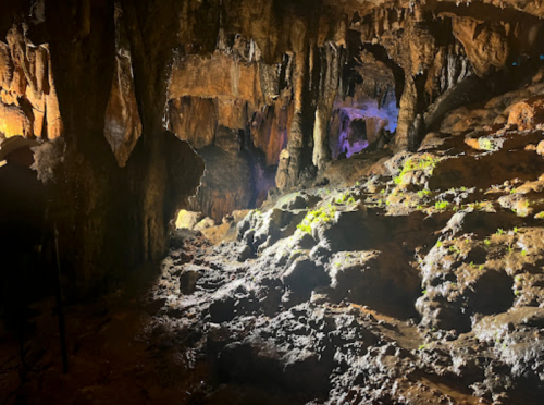 A dimly lit cave interior with rocky formations and patches of green vegetation on the ground.