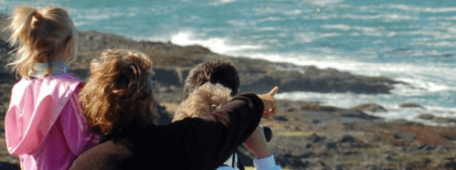 A group of people, including a child, pointing towards the ocean from a rocky shoreline.