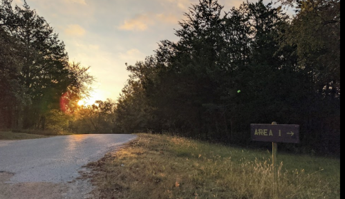 A sunset view along a road with a sign pointing to "AREA 1" amidst trees.