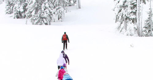 A group of people snowshoeing through a snowy landscape, surrounded by tall trees and a winter wonderland.