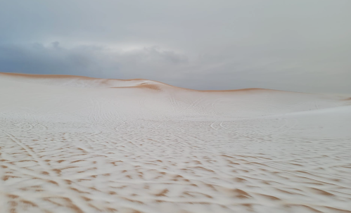 A vast desert landscape with rolling sand dunes under a cloudy sky.
