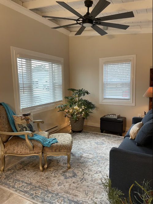 Cozy living space with a blue sofa, patterned armchair, potted plant, and natural light from two windows.