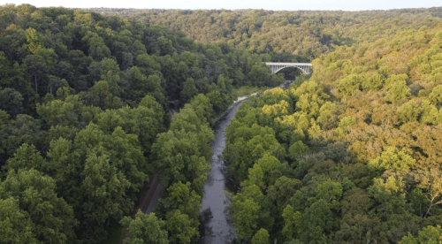 Aerial view of a lush green forest with a winding river and a bridge in the distance.