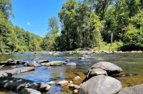 A serene river scene with clear water, smooth stones, and lush green trees under a bright blue sky.