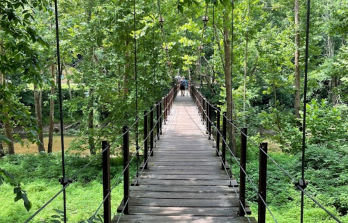 A wooden suspension bridge surrounded by lush green trees, leading into a forested area.