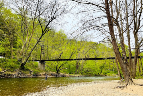 A serene river scene with a bridge, surrounded by lush green trees and a person fishing by the water's edge.